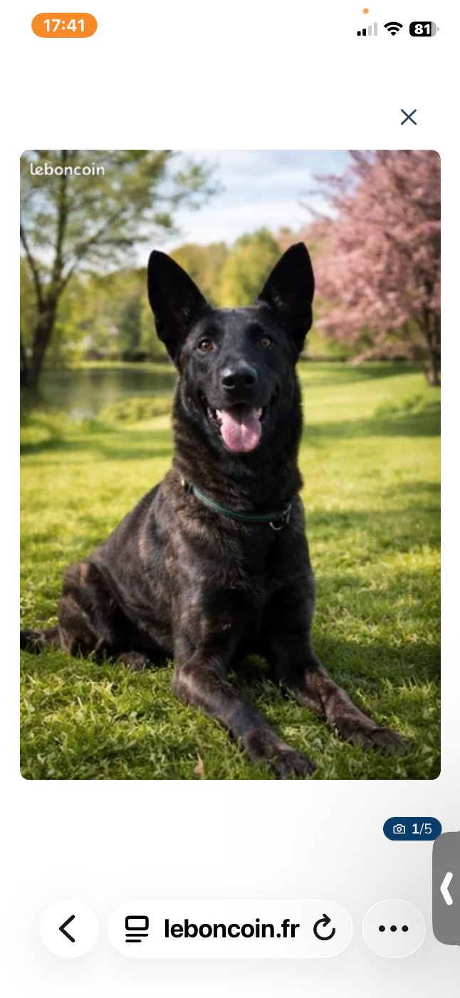 Rafale des soldats de krist ale